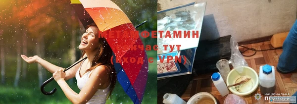 ПСИЛОЦИБИНОВЫЕ ГРИБЫ Богданович