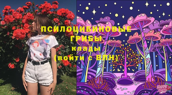 крисы Беломорск