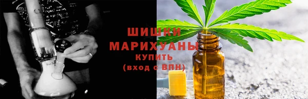ГАЛЛЮЦИНОГЕННЫЕ ГРИБЫ Белокуриха