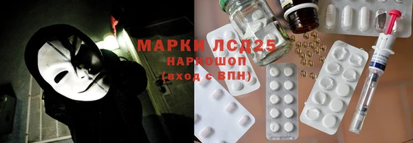 ПСИЛОЦИБИНОВЫЕ ГРИБЫ Богданович