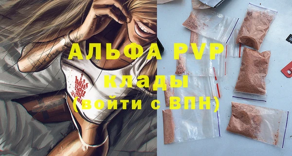 ГАЛЛЮЦИНОГЕННЫЕ ГРИБЫ Белокуриха