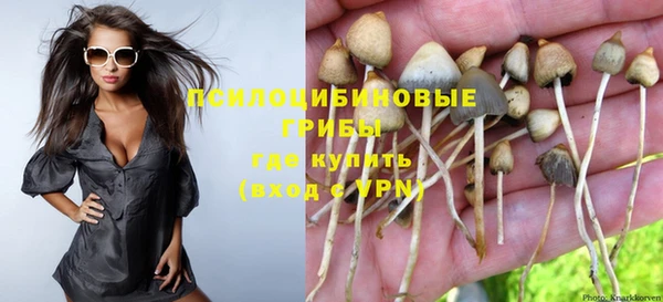 ГАЛЛЮЦИНОГЕННЫЕ ГРИБЫ Белокуриха