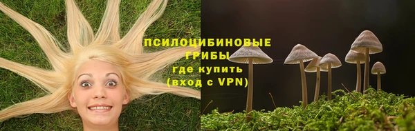 ПСИЛОЦИБИНОВЫЕ ГРИБЫ Богданович