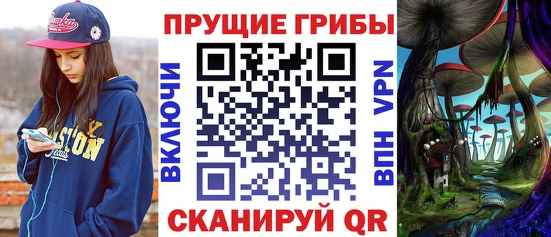 Галлюциногенные грибы GOLDEN TEACHER  OMG сайт  Няндома 